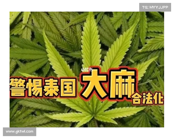 泰国足球彩票合法化法案通过 预计每年增收2.5亿美元